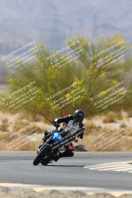 media/Apr-10-2022-SoCal Trackdays (Sun) [[f104b12566]]/Turn 5 Tree of Life (1040am)/